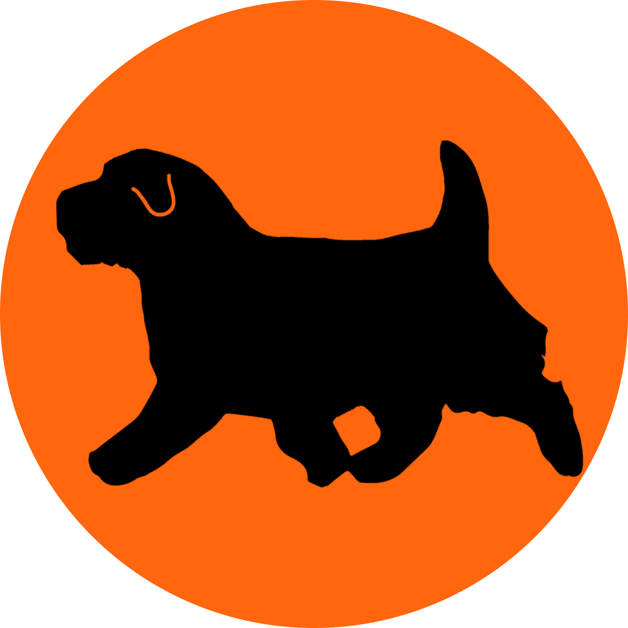 Norfolk Terriër Club Nederland